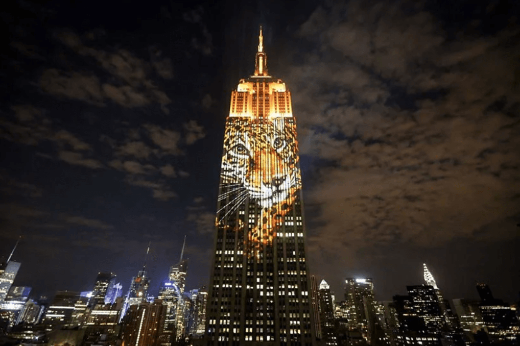PROJECTING CHANGE: Racing Extinction